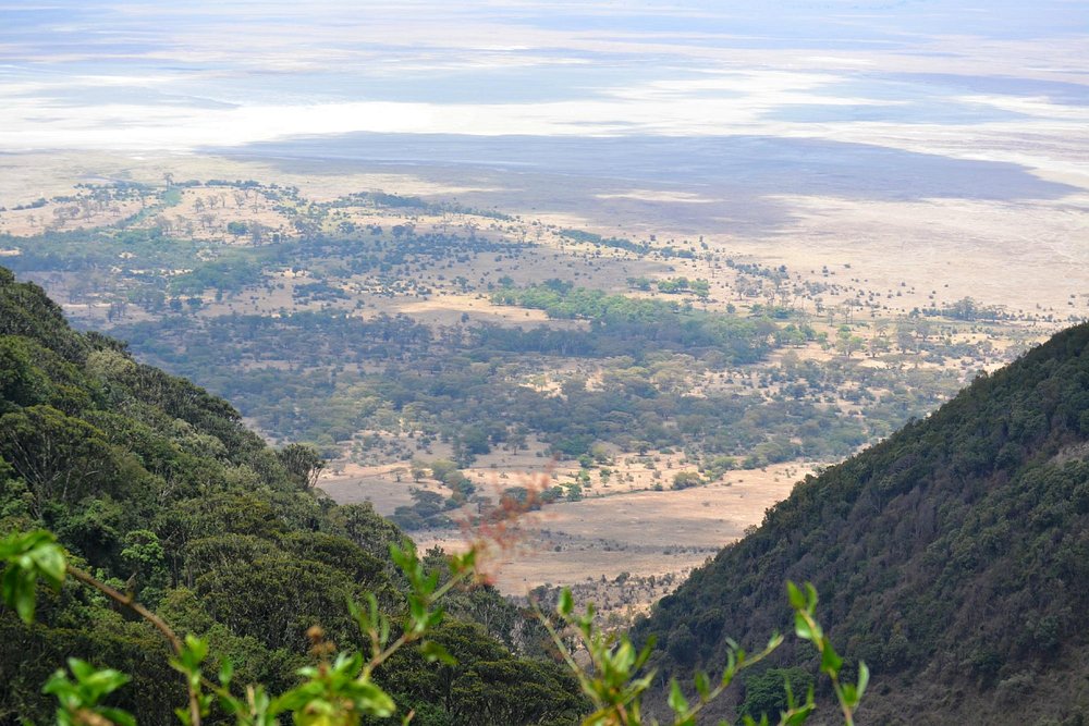 2 Days Safari to Tarangire and Ngorongoro - Tanzania safari gallery image